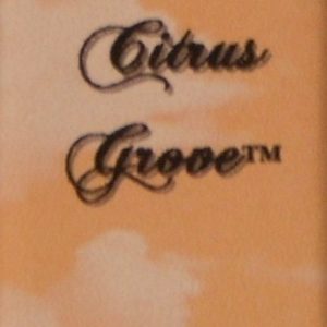 Citrus Grove 16 oz Bath Salts